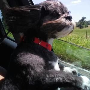 Meet your Posher, Kenneth